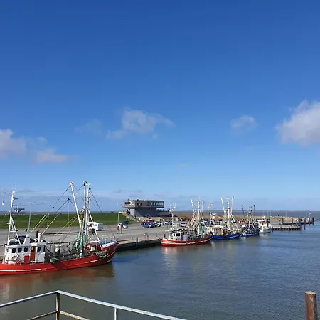 Tintenfisch