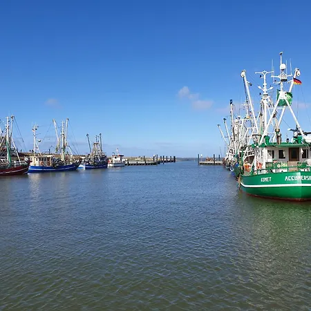 Tintenfisch * Dornumersiel